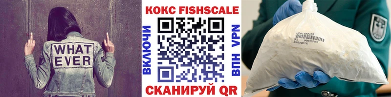 КОКАИН Fish Scale как найти Заволжск